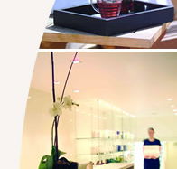 Lyall Hotel and Spa - Accommodation Sydney