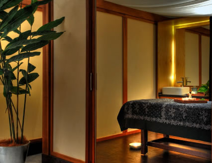 Pure Energy Concept Spas - Accommodation Sydney 2
