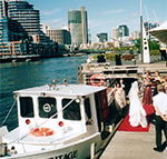 Bay  River Cruises - Accommodation Sydney