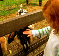 Collingwood Children's Farm - Accommodation Sydney