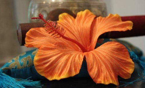 Annasha Day Spa Retreat - Sydney Resort 5