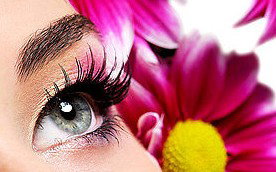 Glow Retreat - Sydney Resort 5