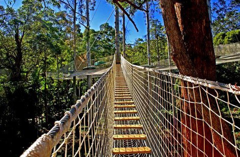 FreemanX Experience - Accommodation Sydney 2