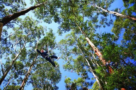 FreemanX Experience - Accommodation Sydney 5