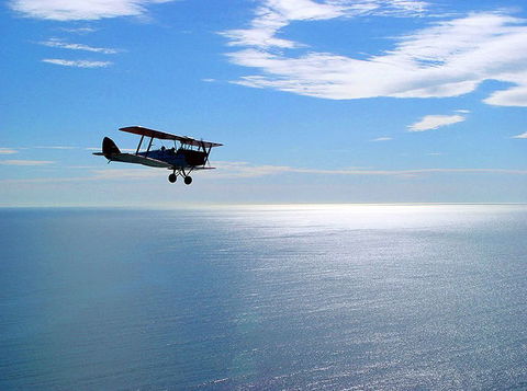 Tigermoth Joy Rides - Accommodation Sydney 2