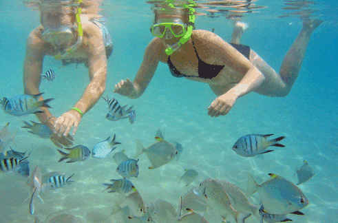 Australian Kayaking Adventures - Accommodation Sydney 2