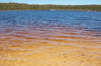 Beach Trekkers North Stradbroke Island - Accommodation Sydney 1