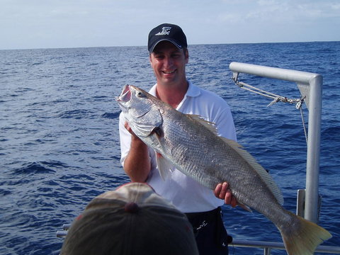 Blue Juice Charters - Accommodation Sydney 1