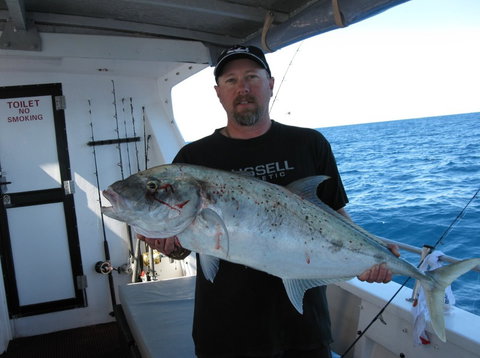 Blue Juice Charters - Accommodation Sydney 3