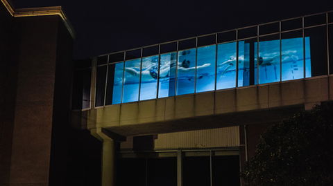 Kingston Arts - Sydney 4u 8