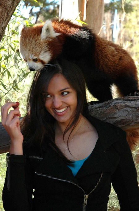 National Zoo & Aquarium - Sydney 4u 8