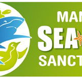 Manly SEA LIFE Sanctuary - Accommodation Sydney