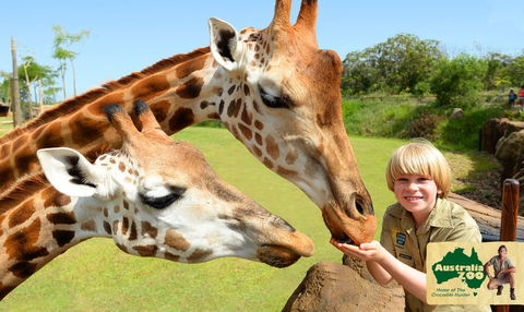 Australia Zoo - Accommodation Sydney 4