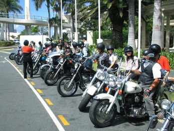 Wildfire Tours - Sydney 4u 1