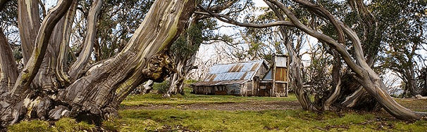 High Country Scenic Tours - Accommodation Sydney