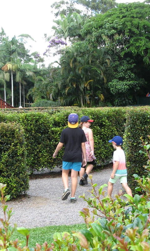 Bellingham Maze - Accommodation Sydney 2