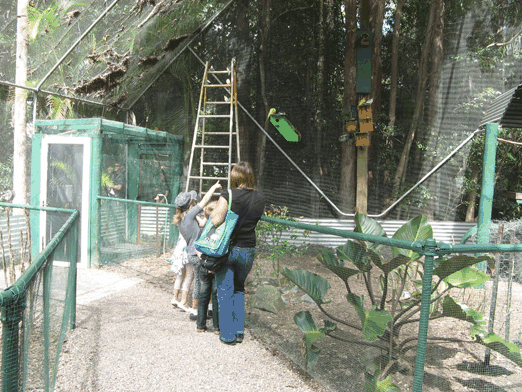 Bellingham Maze - Accommodation Sydney 7
