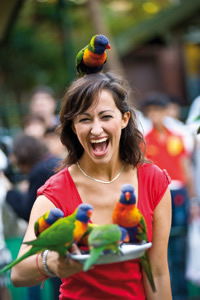 Currumbin Wildlife Sanctuary - Accommodation Sydney 10