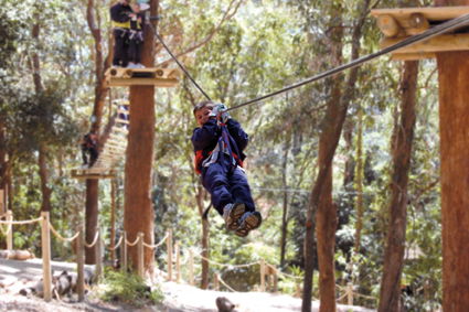 Currumbin Wildlife Sanctuary - Accommodation Sydney 11