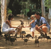 Billabong Sanctuary - Accommodation Sydney