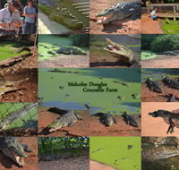 The Malcolm Douglas Crocodile Park - Sydney 4u