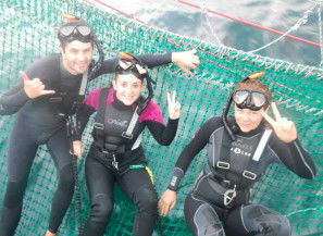 Dolphin Swim Australia - Accommodation Sydney 7