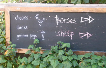 Collingwood Children's Farm - Accommodation Sydney 4