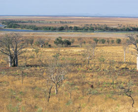 Marglu Billabong - Sydney Resort 0