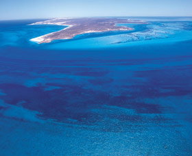 Dirk Hartog Island - Accommodation Sydney 0