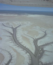 Tidal Flats - Sydney 4u 0
