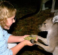 Discovery Bay's Walk on the Wild Side - Sydney 4u