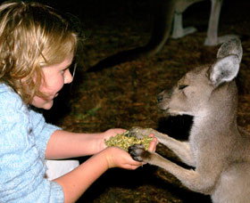 Discovery Bay's Walk On The Wild Side - Sydney Resort 0