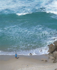 The Salmon Holes - Sydney 4u 0
