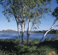 Celebrity Tree Park - Accommodation Sydney
