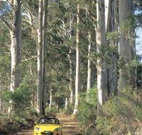 Mount Shadforth Scenic Drive - Accommodation Sydney