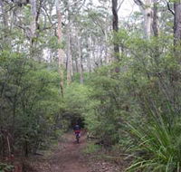 Margaret River Rails Trail - Accommodation Sydney