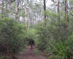 Margaret River Rails Trail - Sydney 4u 0