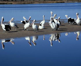 Peel Region Canoe Trails - Sydney 4u 0