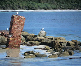 Whalers Beach - Sydney 4u 0