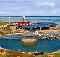 Ocean Park Aquarium - Accommodation Sydney