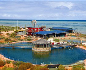 Ocean Park Aquarium - Accommodation Sydney 0