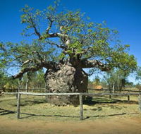 Pigeon Heritage Trail - Accommodation Sydney