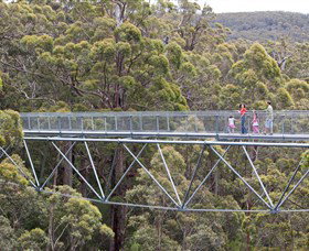 Walpole Wilderness Discovery Centre - Accommodation Sydney 0