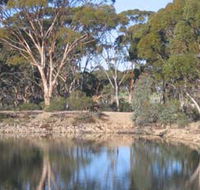 Merredin Railway Dam - Accommodation Sydney