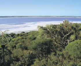 Pink Lake - Sydney Resort 0