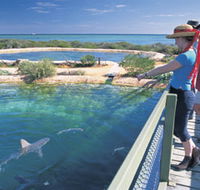 Shark Bay Marine Park - Accommodation Sydney