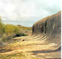 Totadgin Dam Reserve - Accommodation Sydney