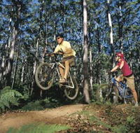 Leeuwin-Naturaliste National Park - Cowaramup - Accommodation Sydney
