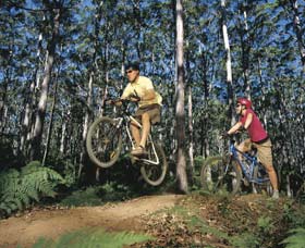Leeuwin-Naturaliste National Park - Cowaramup - Sydney 4u 0