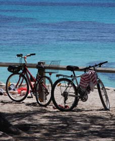 Parker Point Marine Snorkel Trail - Sydney 4u 0